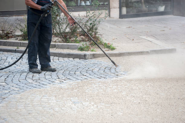 Best Fence Cleaning  in Carson City, MI